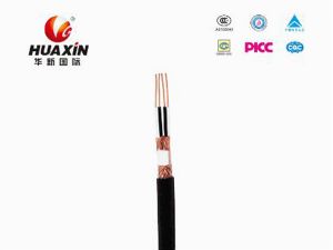 DJVPVP 300/500V 2X2X1.0