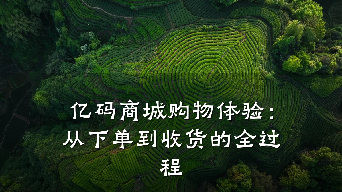 亿码商城购物体验：从下单到收货的全过程