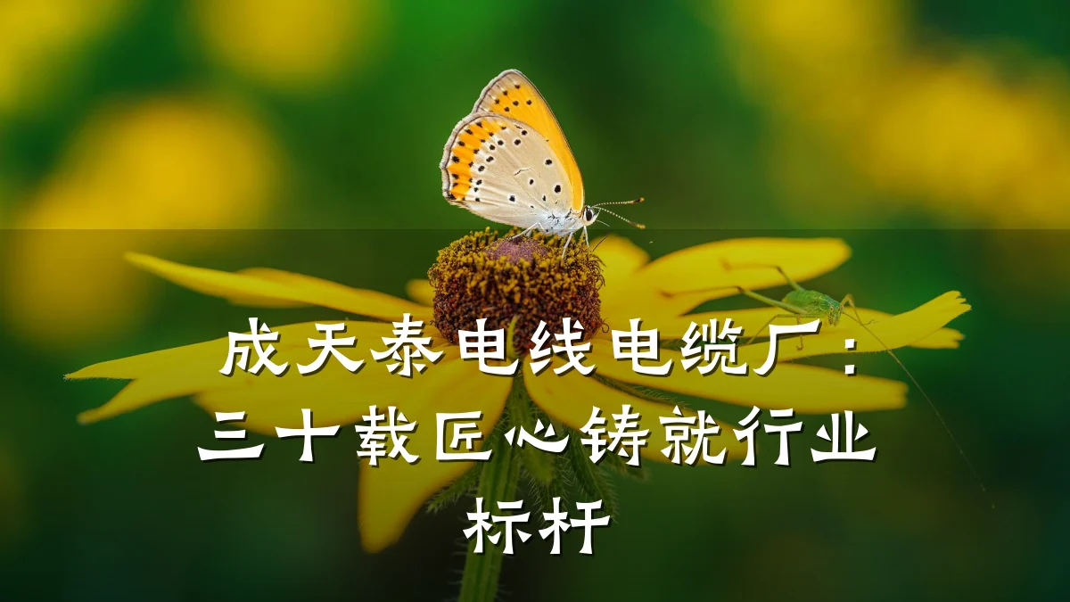 成天泰电线电缆厂:三十载匠心铸就行业标杆