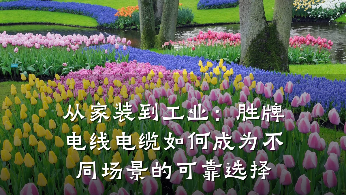 从家装到工业:胜牌电线电缆如何成为不同场景的可靠选择