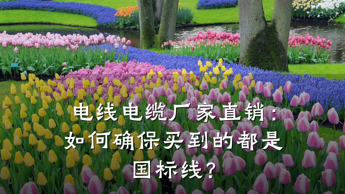 电线电缆厂家直销:如何确保买到的都是国标线?
