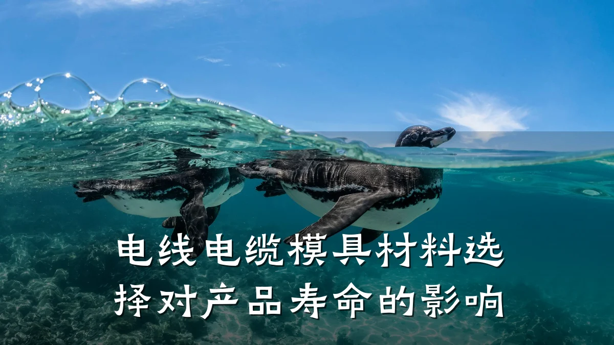 电线电缆模具材料选择对产品寿命的影响