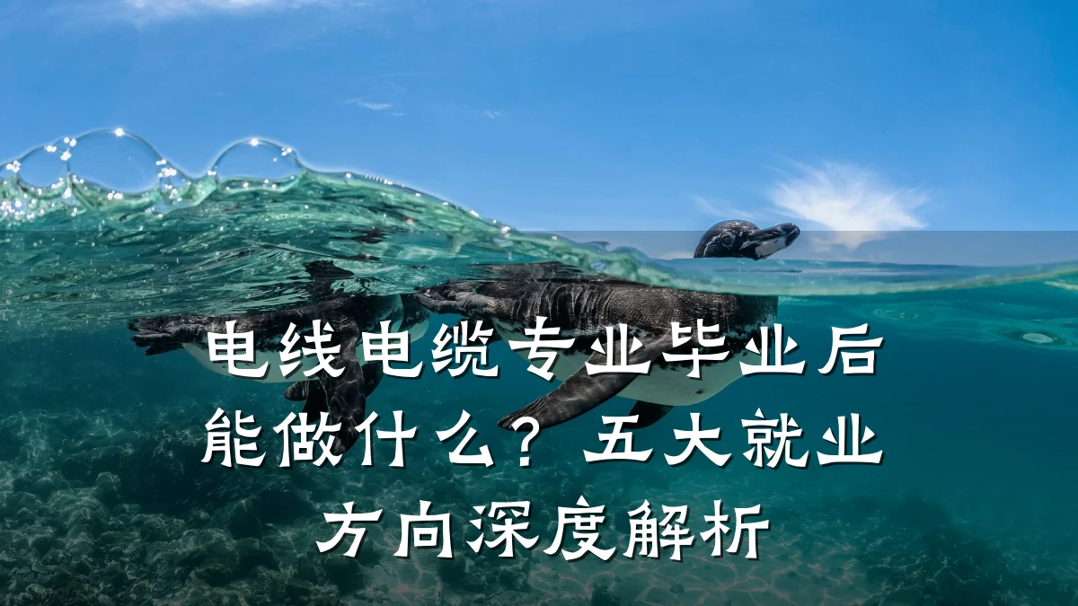 电线电缆专业毕业后能做什么?五大就业方向深度解析