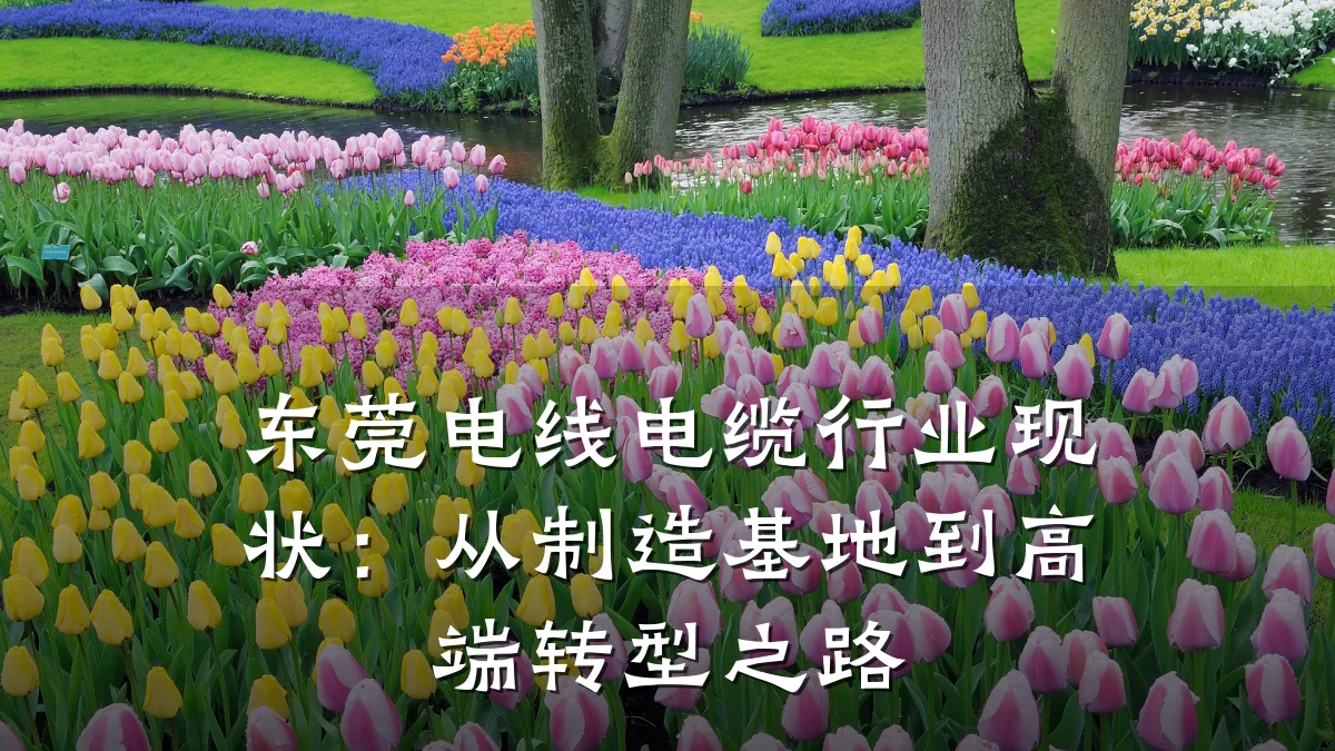东莞电线电缆行业现状:从制造基地到高端转型之路