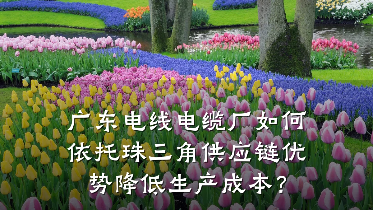 广东电线电缆厂如何依托珠三角供应链优势降低生产成本?