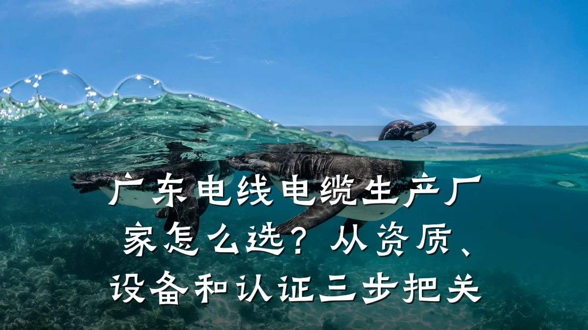 广东电线电缆生产厂家怎么选?从资质、设备和认证三步把关