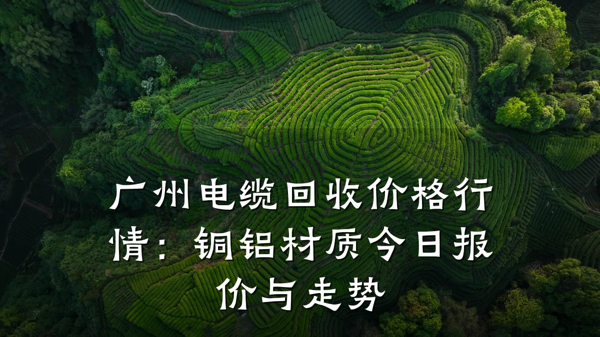 广州电缆回收价格行情:铜铝材质今日报价与走势