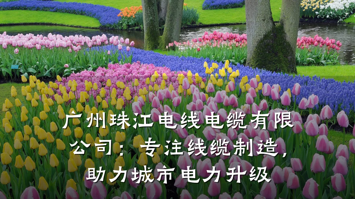 广州珠江电线电缆有限公司:专注线缆制造,助力城市电力升级