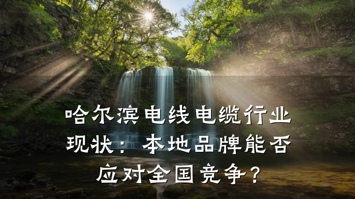 哈尔滨电线电缆行业现状：本地品牌能否应对全国竞争？