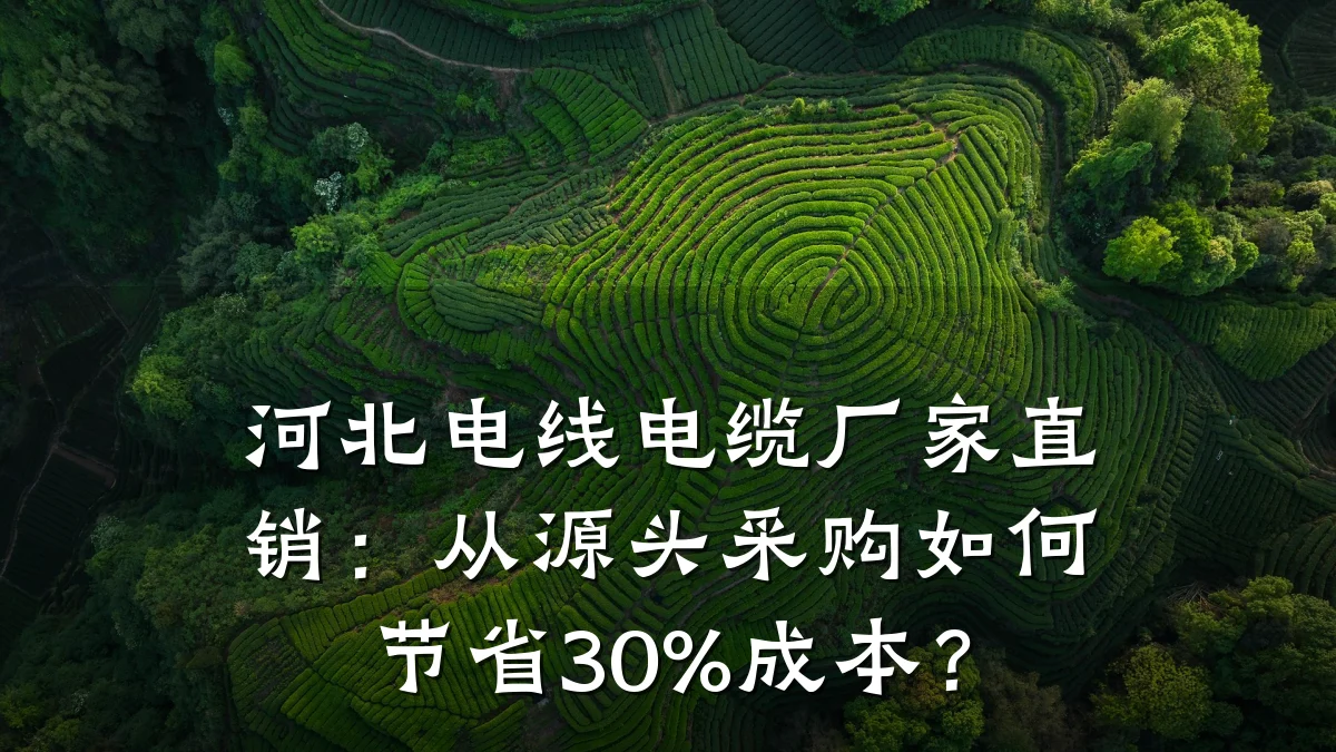 河北电线电缆厂家直销:从源头采购如何节省30%成本?