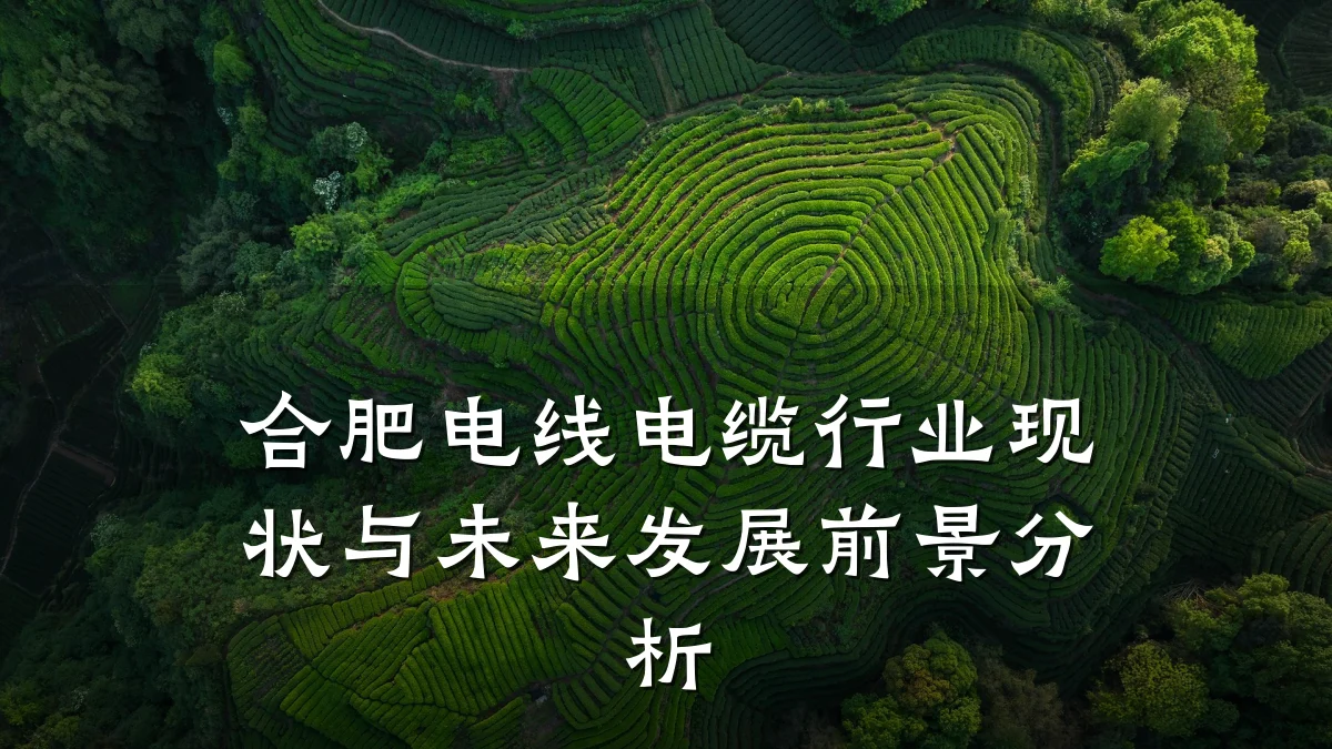合肥电线电缆行业现状与未来发展前景分析