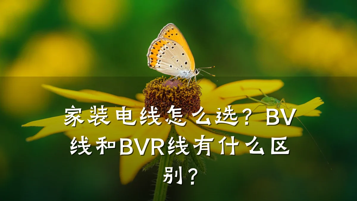 家装电线怎么选？BV线和BVR线有什么区别？