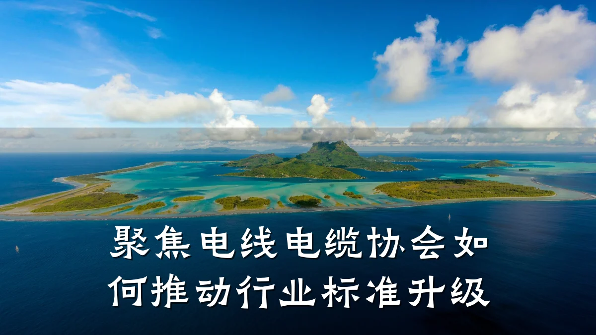 聚焦电线电缆协会如何推动行业标准升级