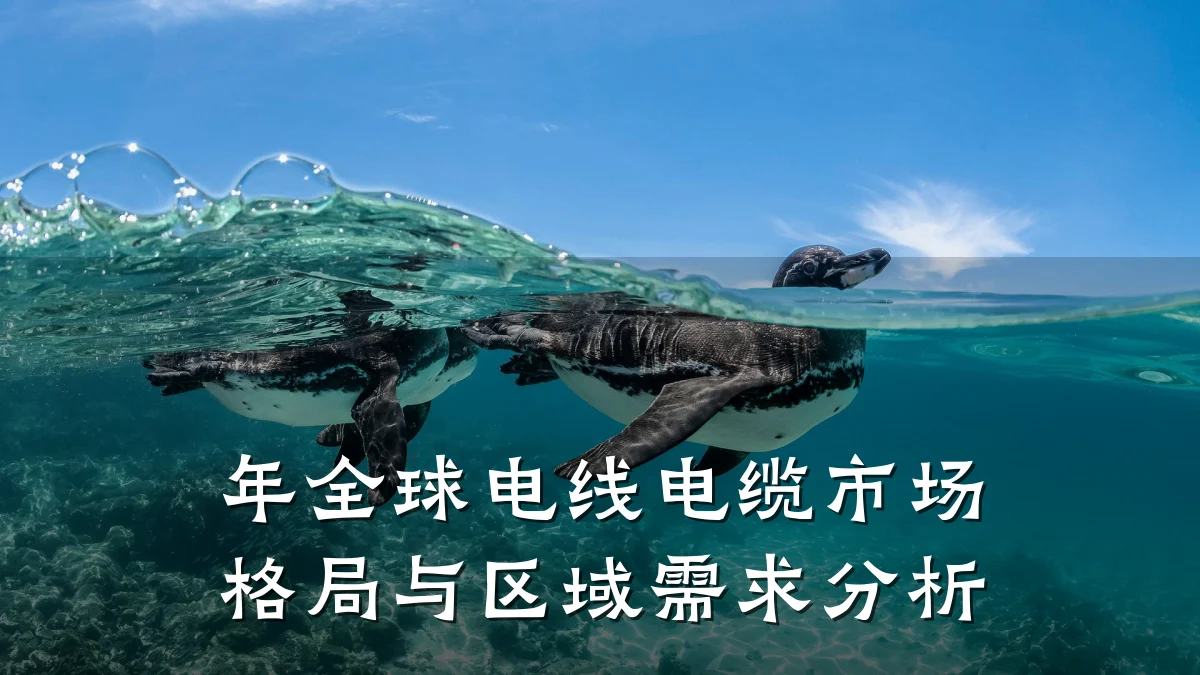 年全球电线电缆市场格局与区域需求分析