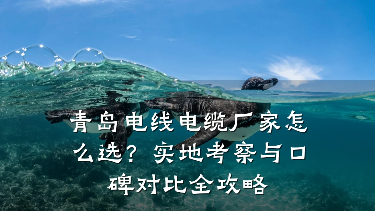 青岛电线电缆厂家怎么选?实地考察与口碑对比全攻略