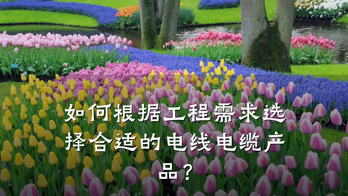 如何根据工程需求选择合适的电线电缆产品？