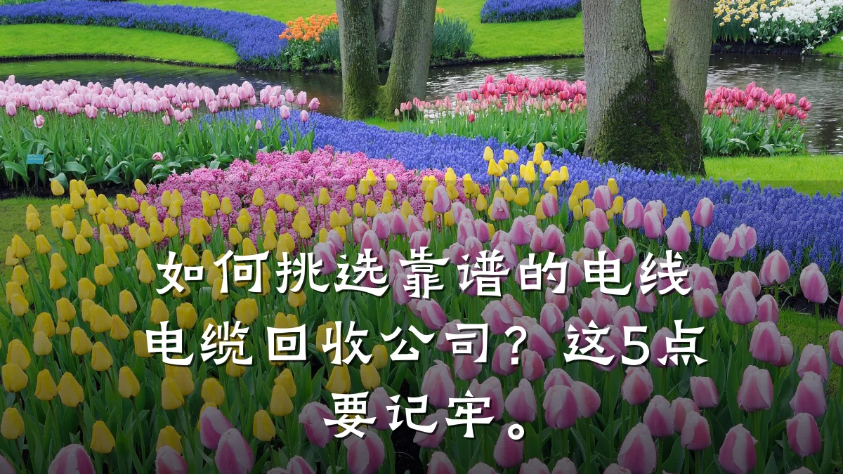 如何挑选靠谱的电线电缆回收公司?这5点要记牢。