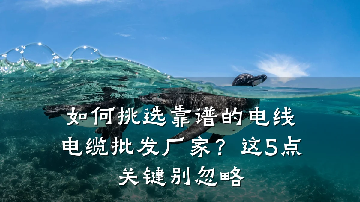如何挑选靠谱的电线电缆批发厂家?这5点关键别忽略