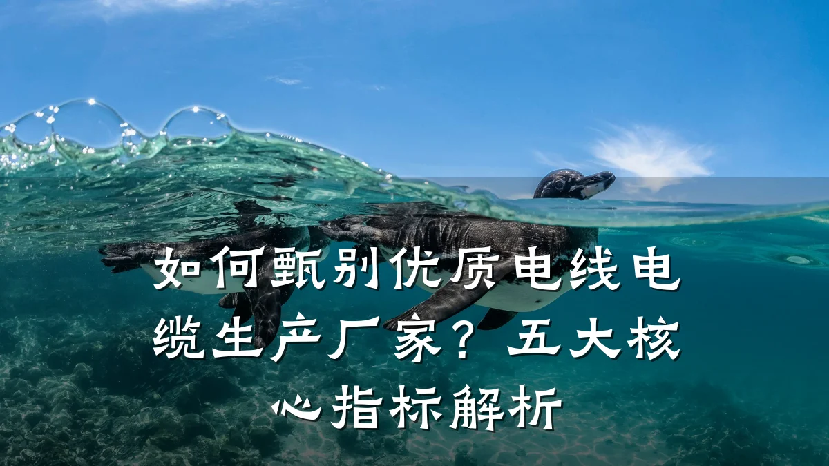 如何甄别优质电线电缆生产厂家?五大核心指标解析