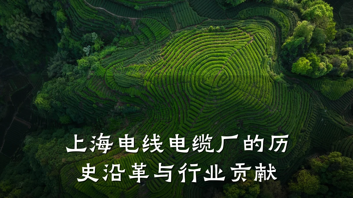 上海电线电缆厂的历史沿革与行业贡献