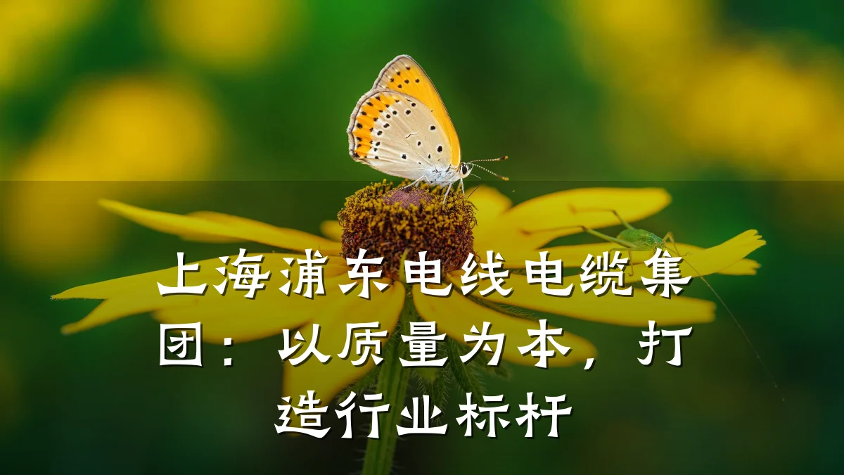 上海浦东电线电缆集团:以质量为本,打造行业标杆