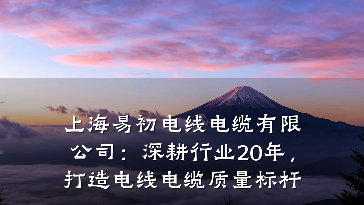 上海易初电线电缆有限公司:深耕行业20年,打造电线电缆质量标杆