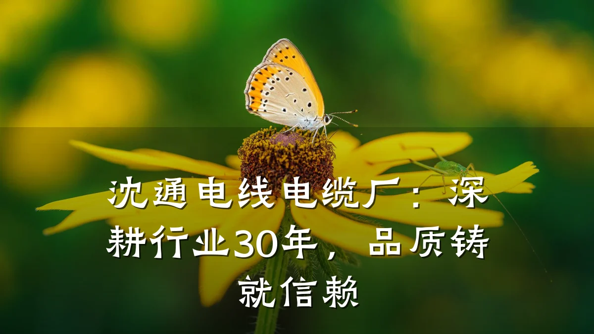 沈通电线电缆厂:深耕行业30年,品质铸就信赖