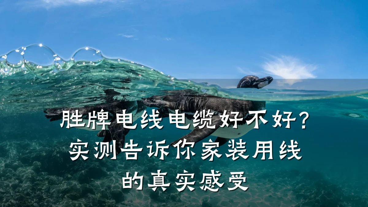 胜牌电线电缆好不好?实测告诉你家装用线的真实感受