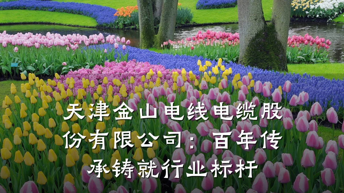 天津金山电线电缆股份有限公司：百年传承铸就行业标杆
