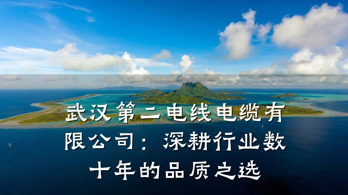 武汉第二电线电缆有限公司:深耕行业数十年的品质之选