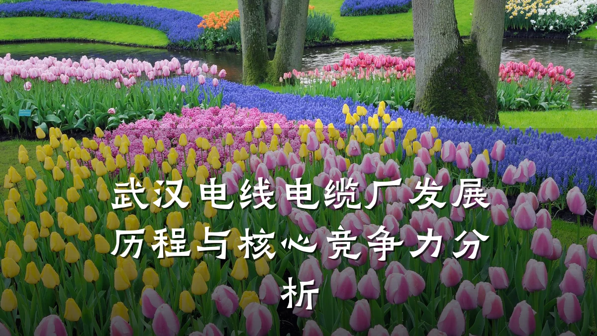 武汉电线电缆厂发展历程与核心竞争力分析
