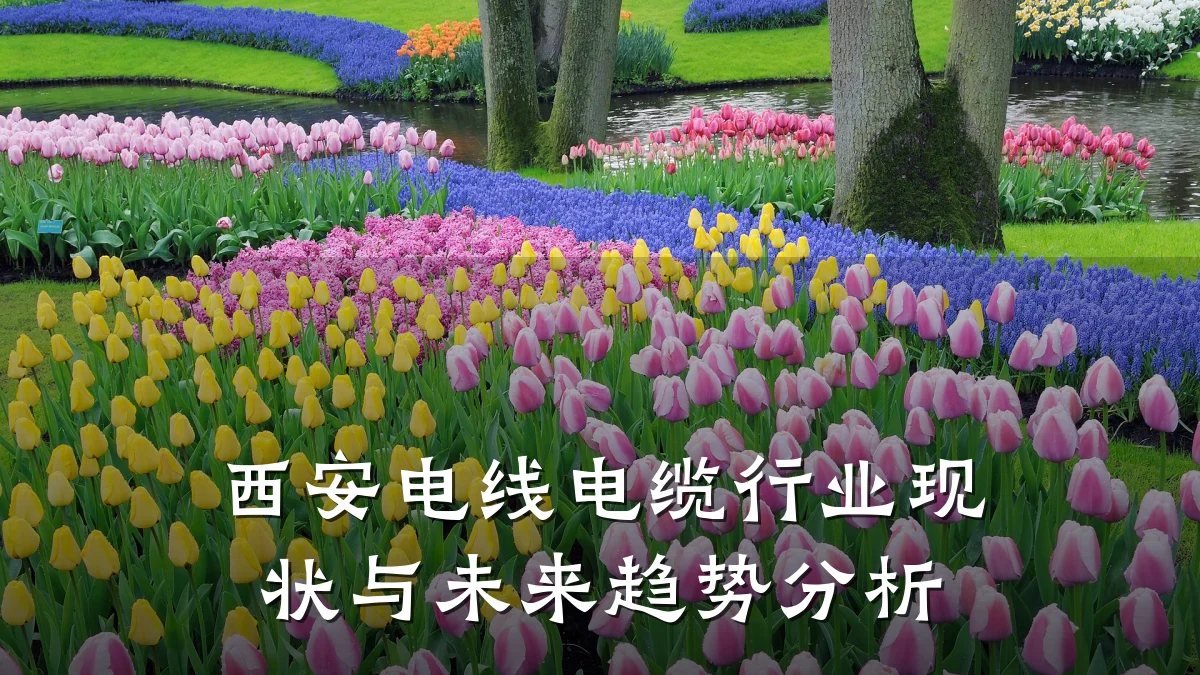 西安电线电缆行业现状与未来趋势分析