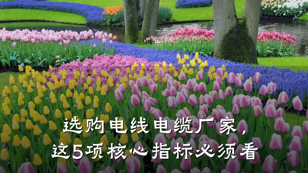 选购电线电缆厂家,这5项核心指标必须看
