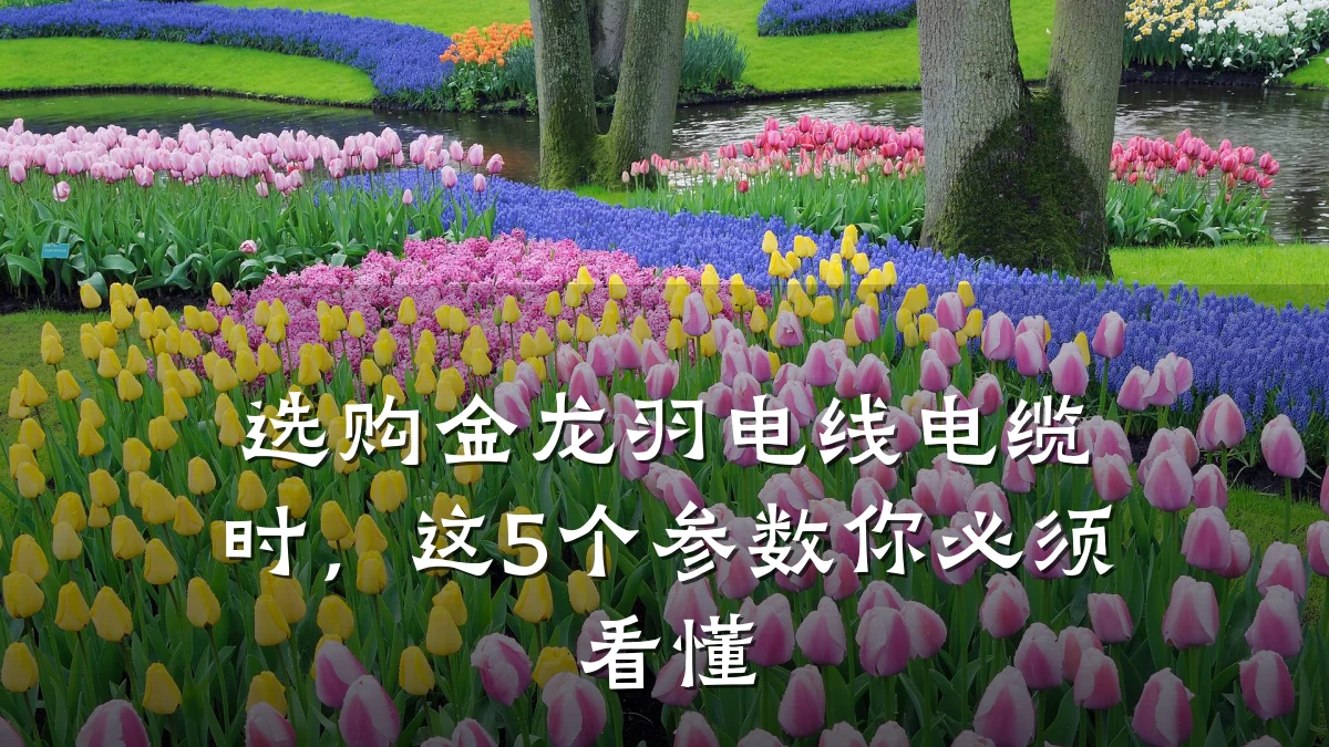 选购金龙羽电线电缆时，这5个参数你必须看懂
