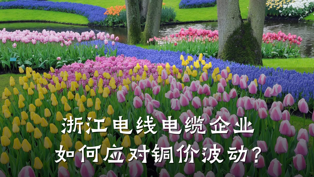 浙江电线电缆企业如何应对铜价波动？