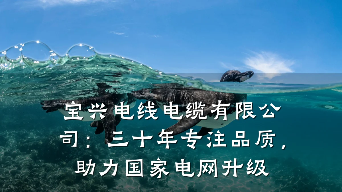 宝兴电线电缆有限公司:三十年专注品质,助力国家电网升级