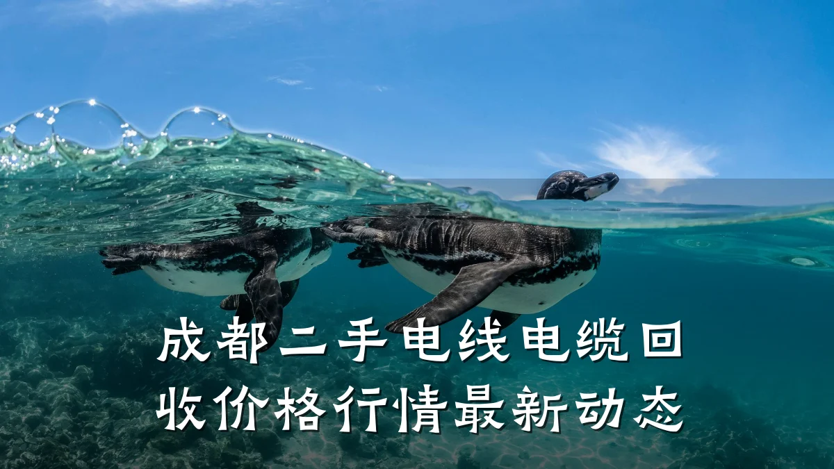 成都二手电线电缆回收价格行情最新动态