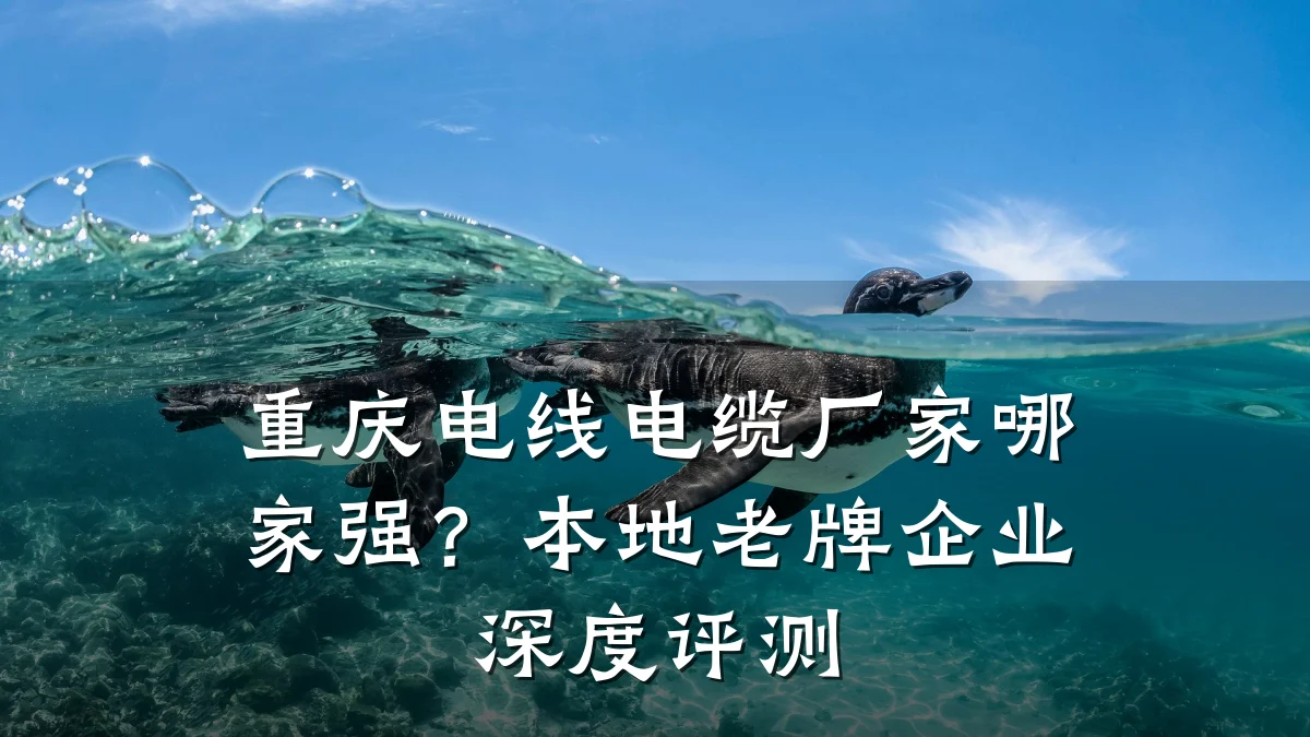 重庆电线电缆厂家哪家强?本地老牌企业深度评测