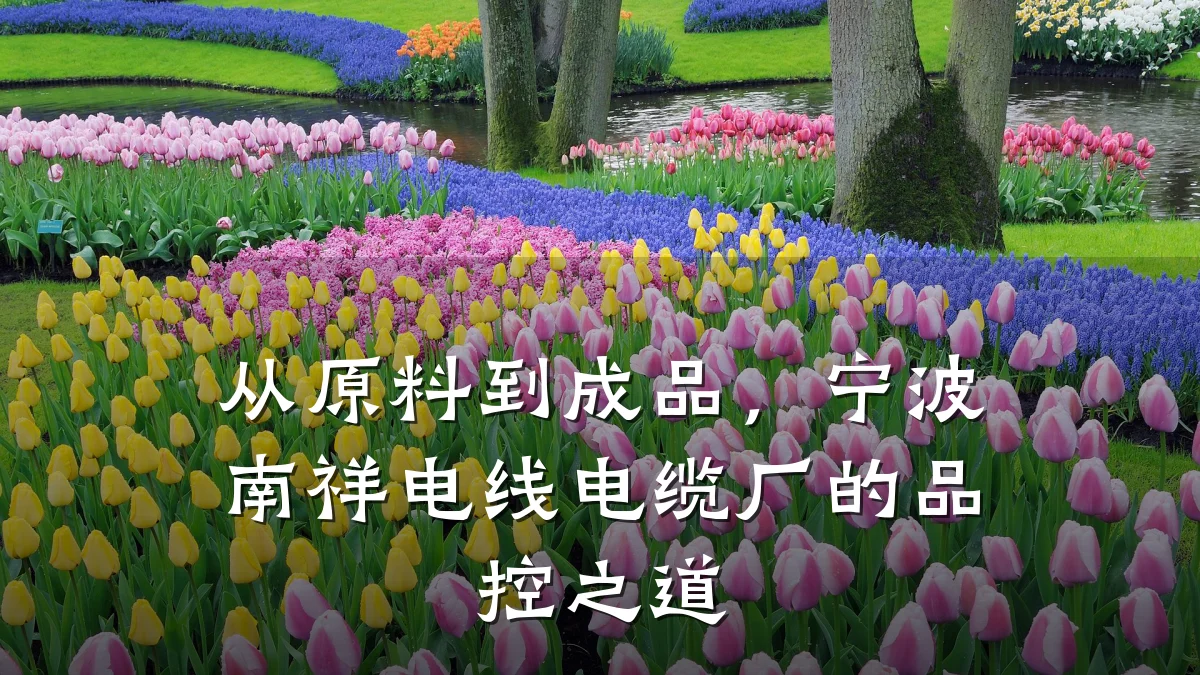 从原料到成品,宁波南祥电线电缆厂的品控之道