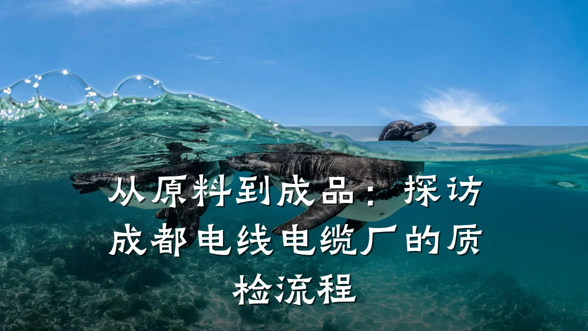 从原料到成品:探访成都电线电缆厂的质检流程