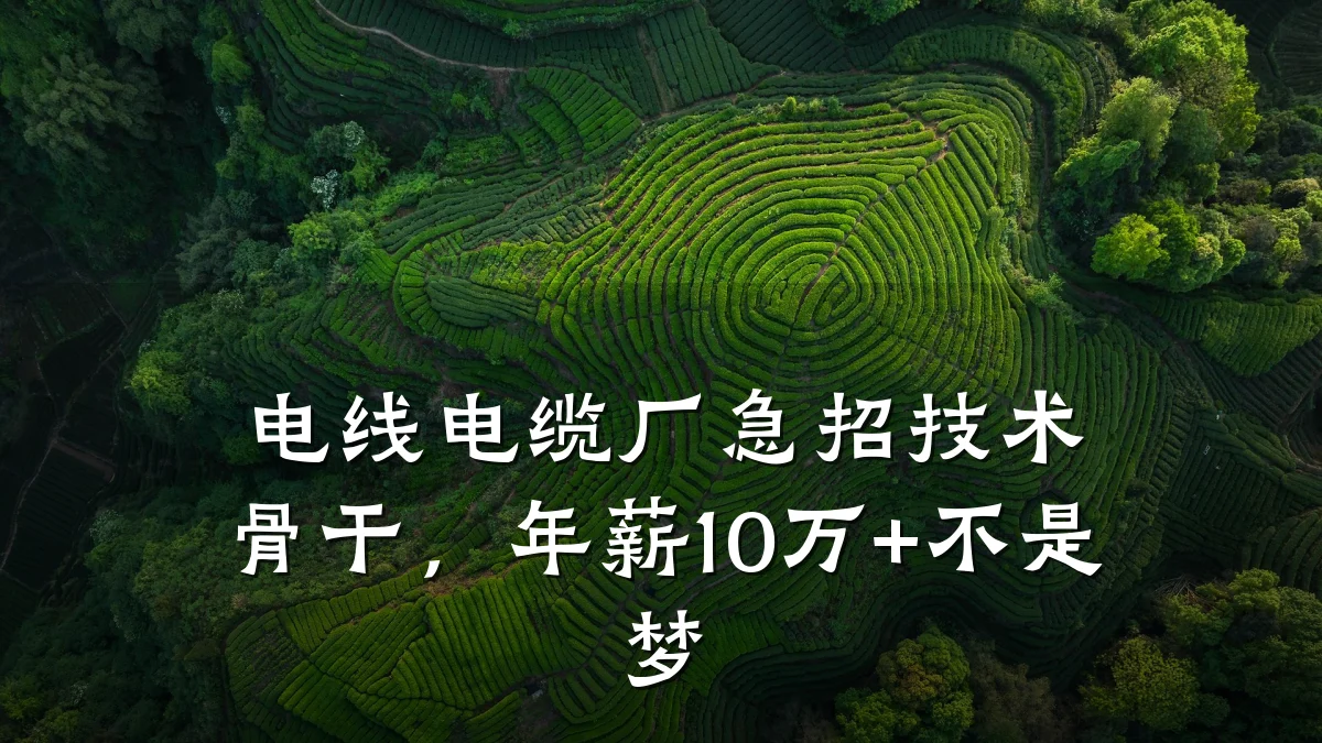 电线电缆厂急招技术骨干,年薪10万+不是梦