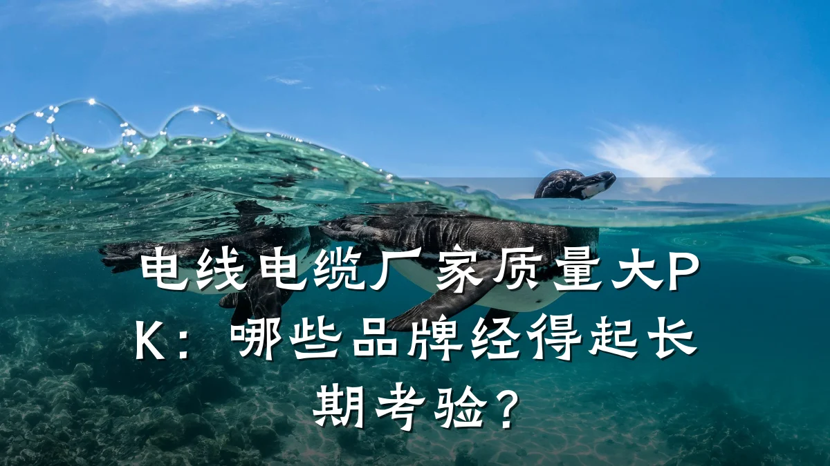 电线电缆厂家质量大PK:哪些品牌经得起长期考验?