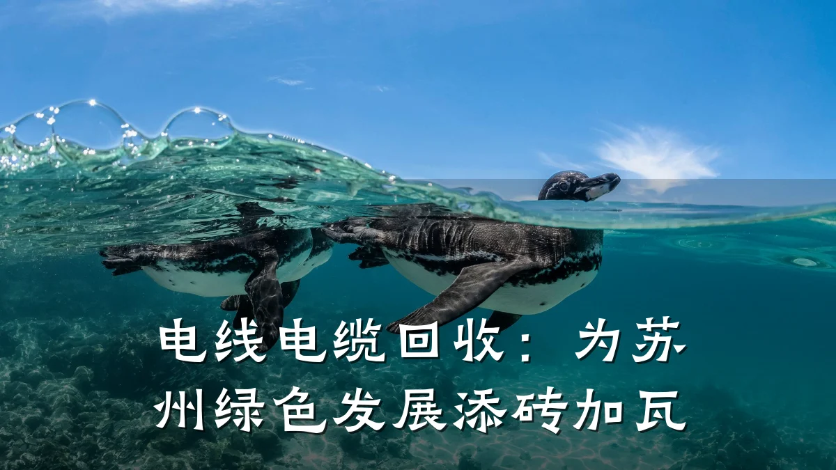 电线电缆回收:为苏州绿色发展添砖加瓦