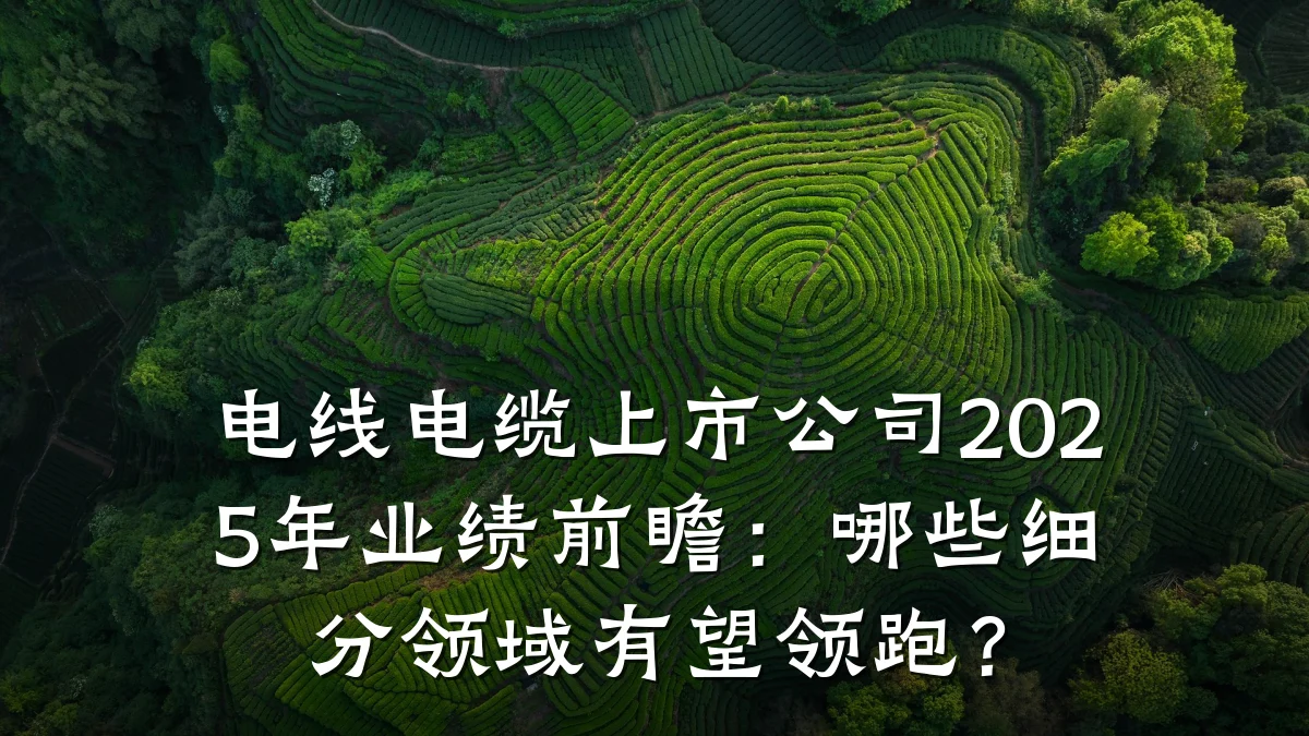 电线电缆上市公司2025年业绩前瞻：哪些细分领域有望领跑？