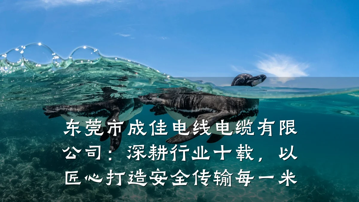 东莞市成佳电线电缆有限公司:深耕行业十载,以匠心打造安全传输每一米
