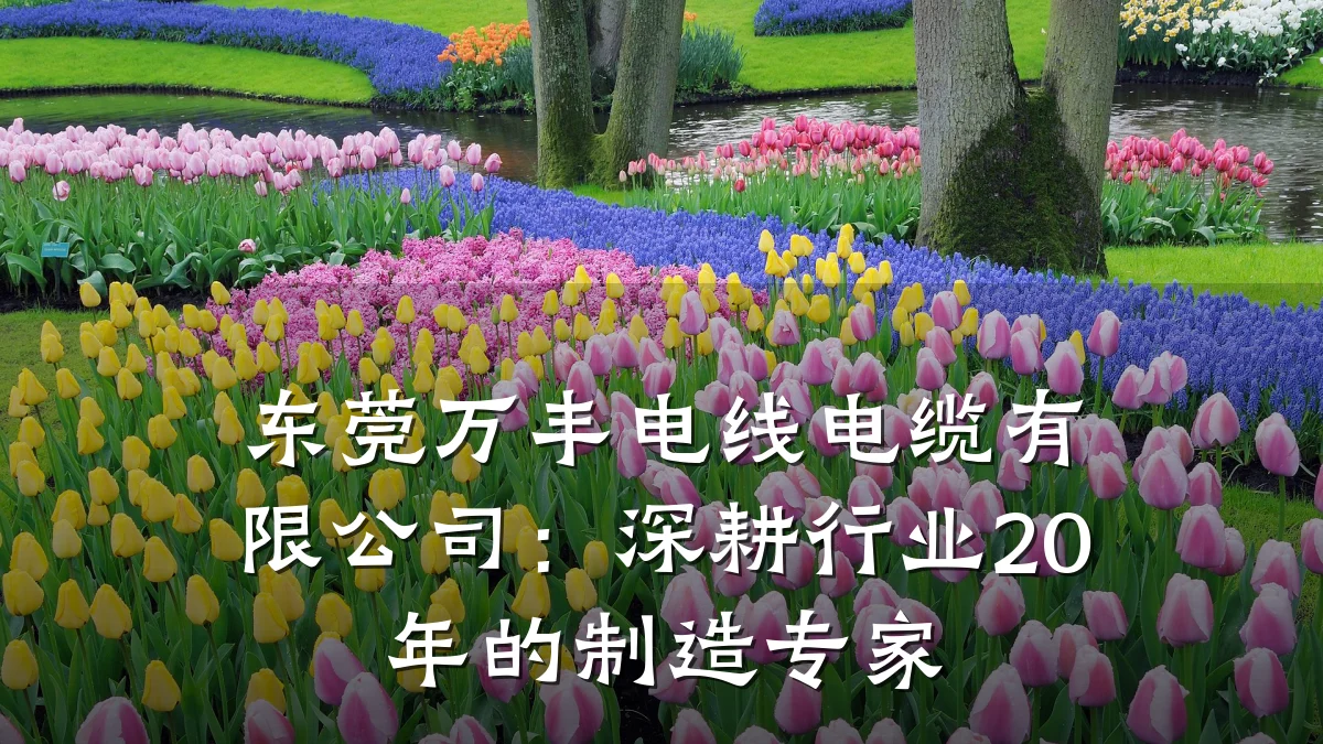 东莞万丰电线电缆有限公司:深耕行业20年的制造专家