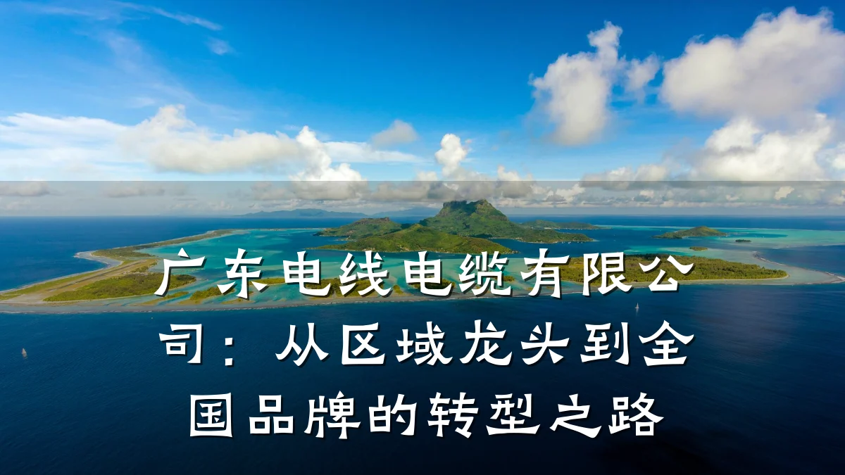 广东电线电缆有限公司：从区域龙头到全国品牌的转型之路