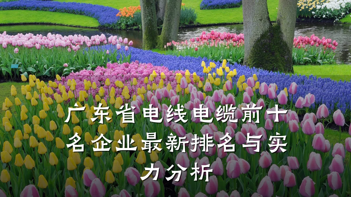 广东省电线电缆前十名企业最新排名与实力分析