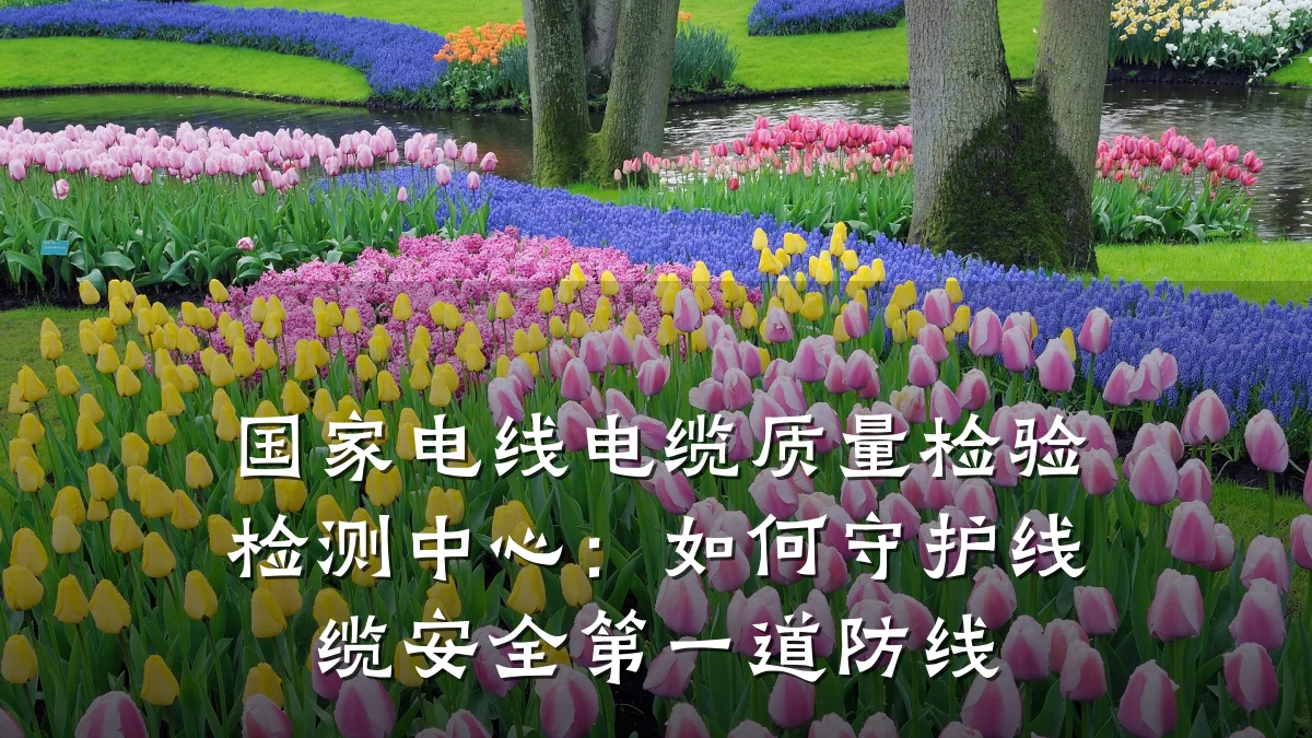 国家电线电缆质量检验检测中心：如何守护线缆安全第一道防线