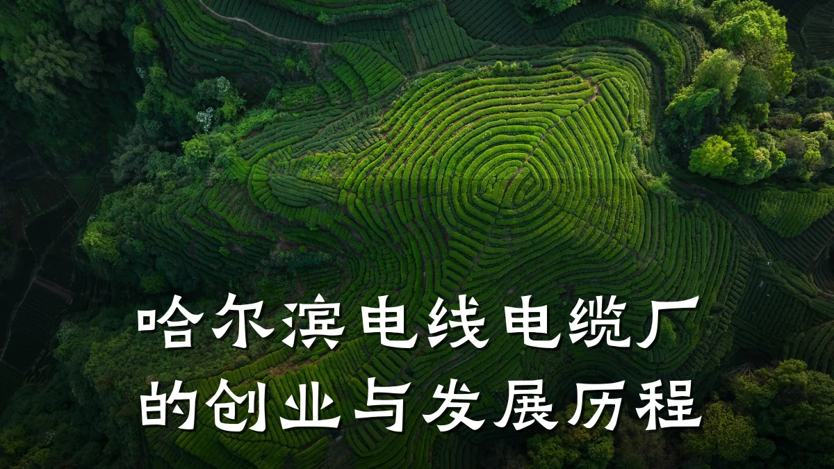 哈尔滨电线电缆厂的创业与发展历程
